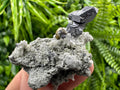 Spinel Law Galena on Quartz with Chalcopyrite: Borieva Mine Minerals