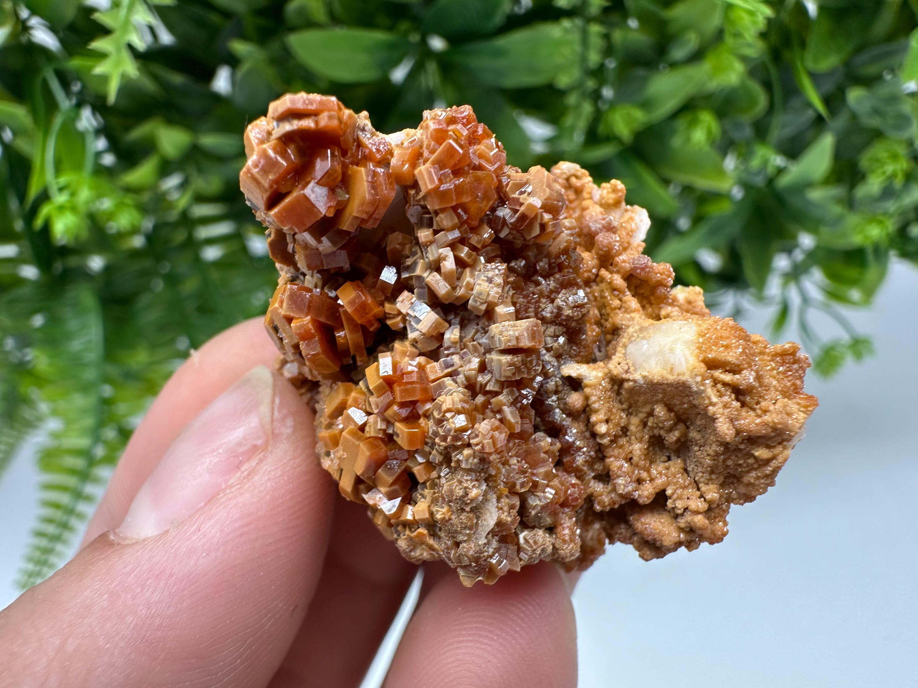 Red Vanadinite on Barite from Marocco,crystal minerals Speciment cluster Vanadinite crystal Vanadinite Geology Vanadinite cluster minerals
