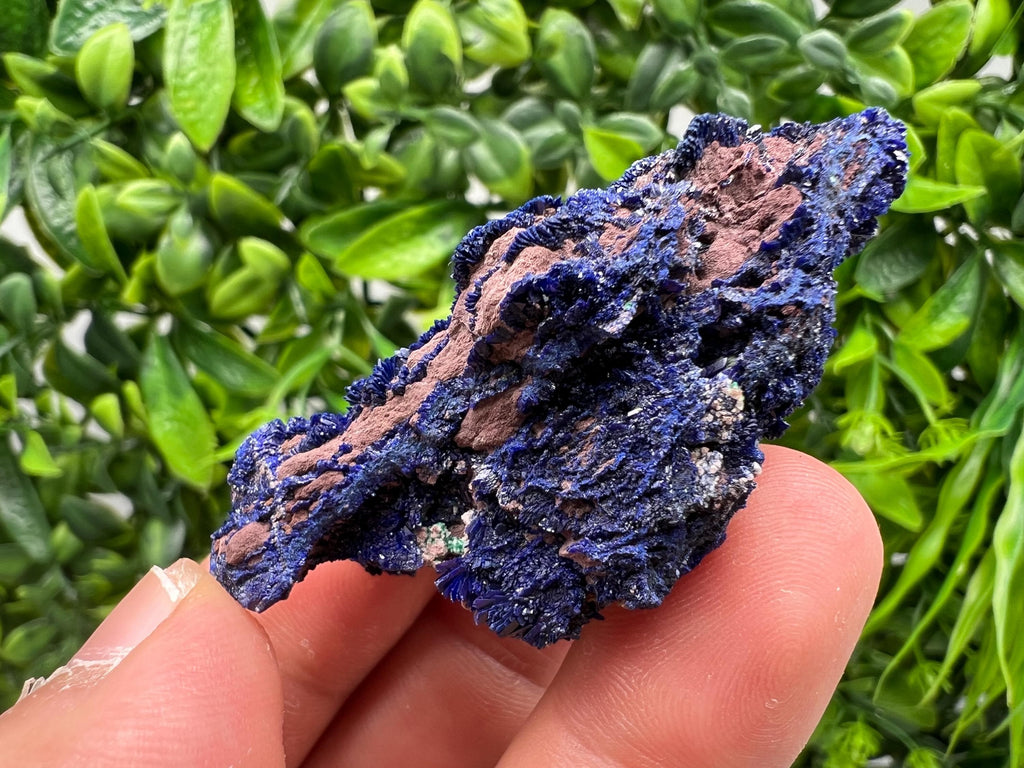Crystallized Azurite-Kerrouchen,Morocco-Blue Azurite Specimen-High Quality Blue Azurite-Azurite Mineral Specimen, gemmy,lustrous of Azurite
