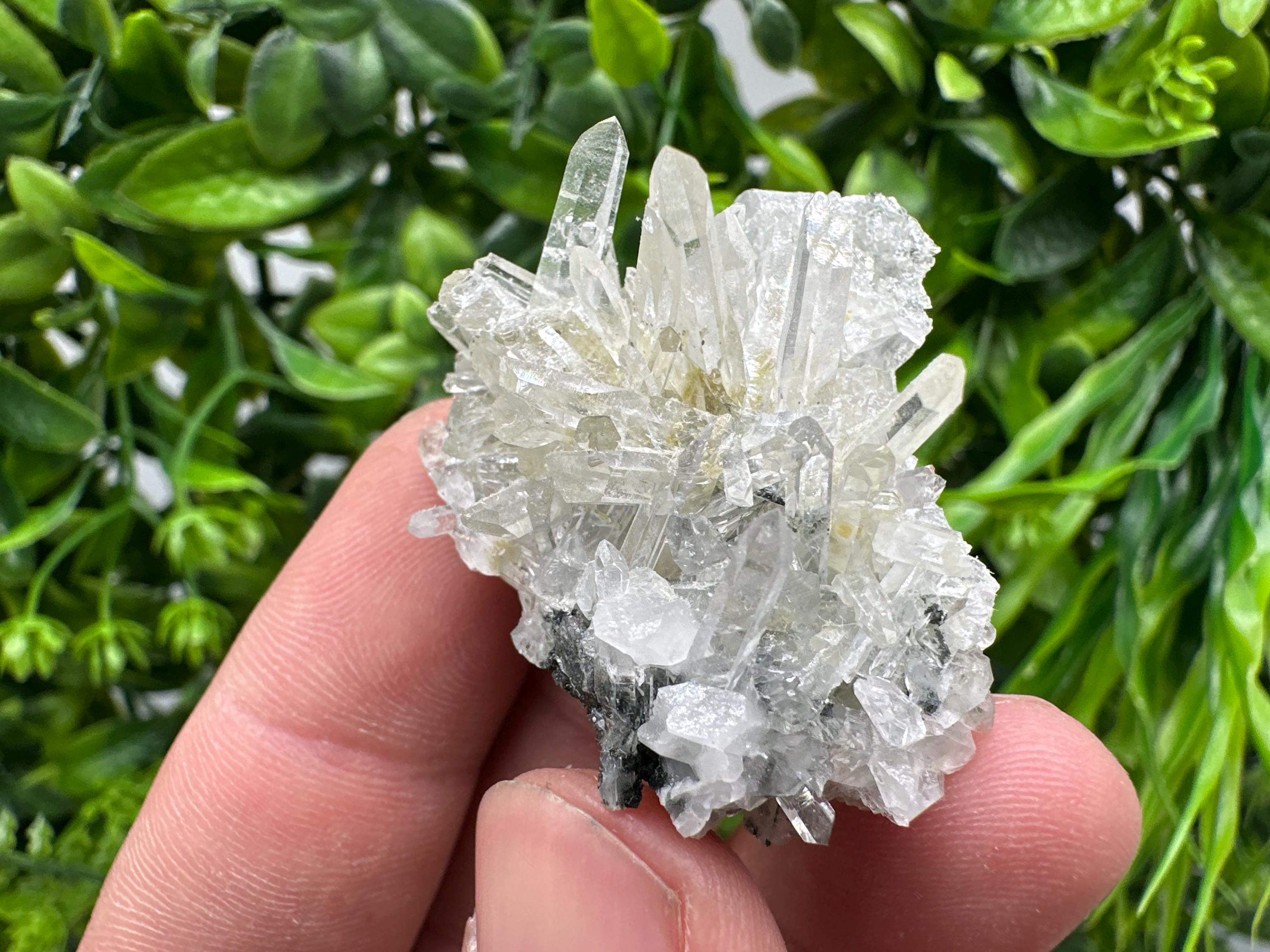 Transparent Quartz on Chlorite Matrix, Borieva Mine Mineral Specimen
