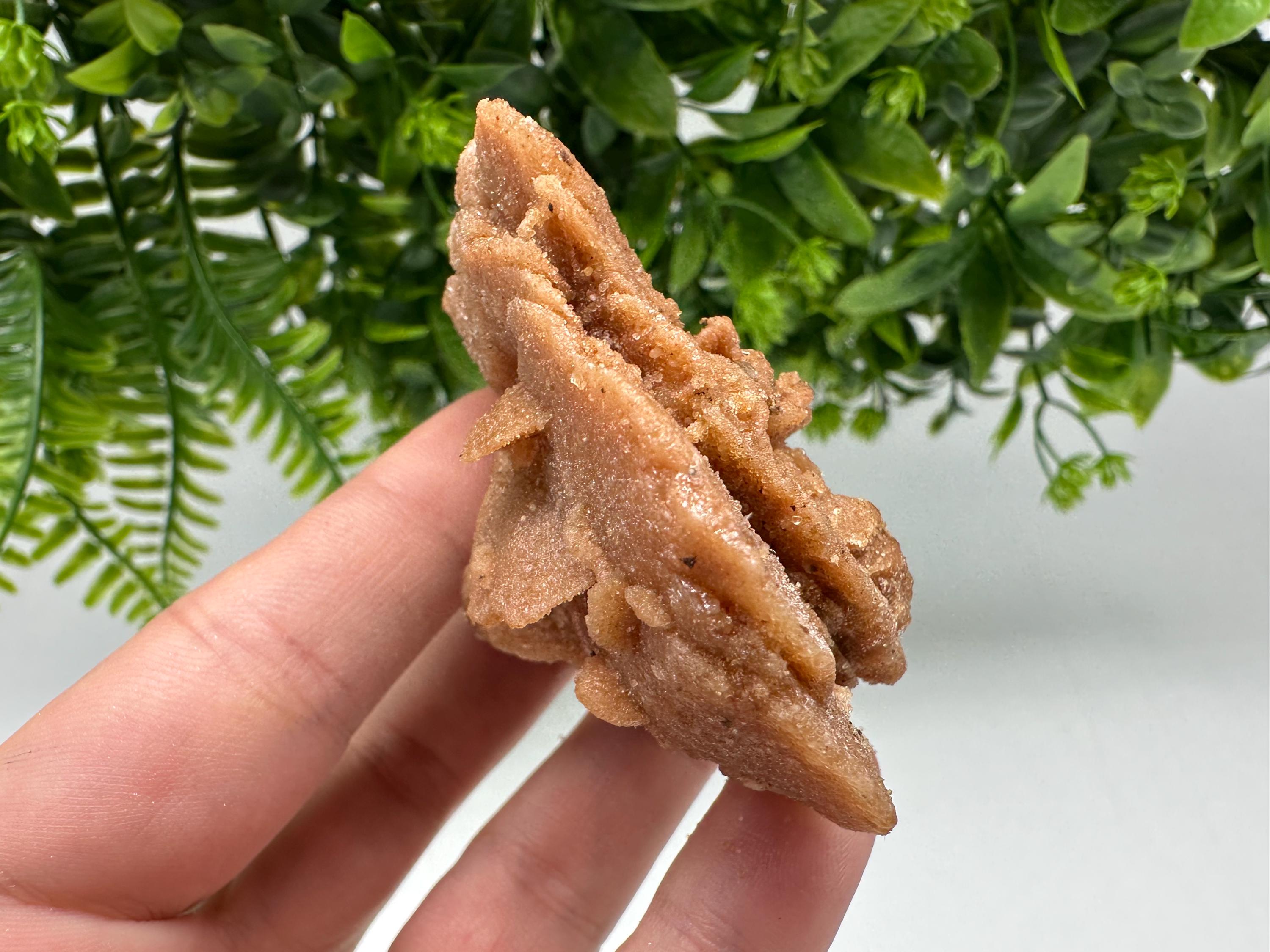 Natural Desert Rose Crystal – Root Chakra Healing Selenite Stone