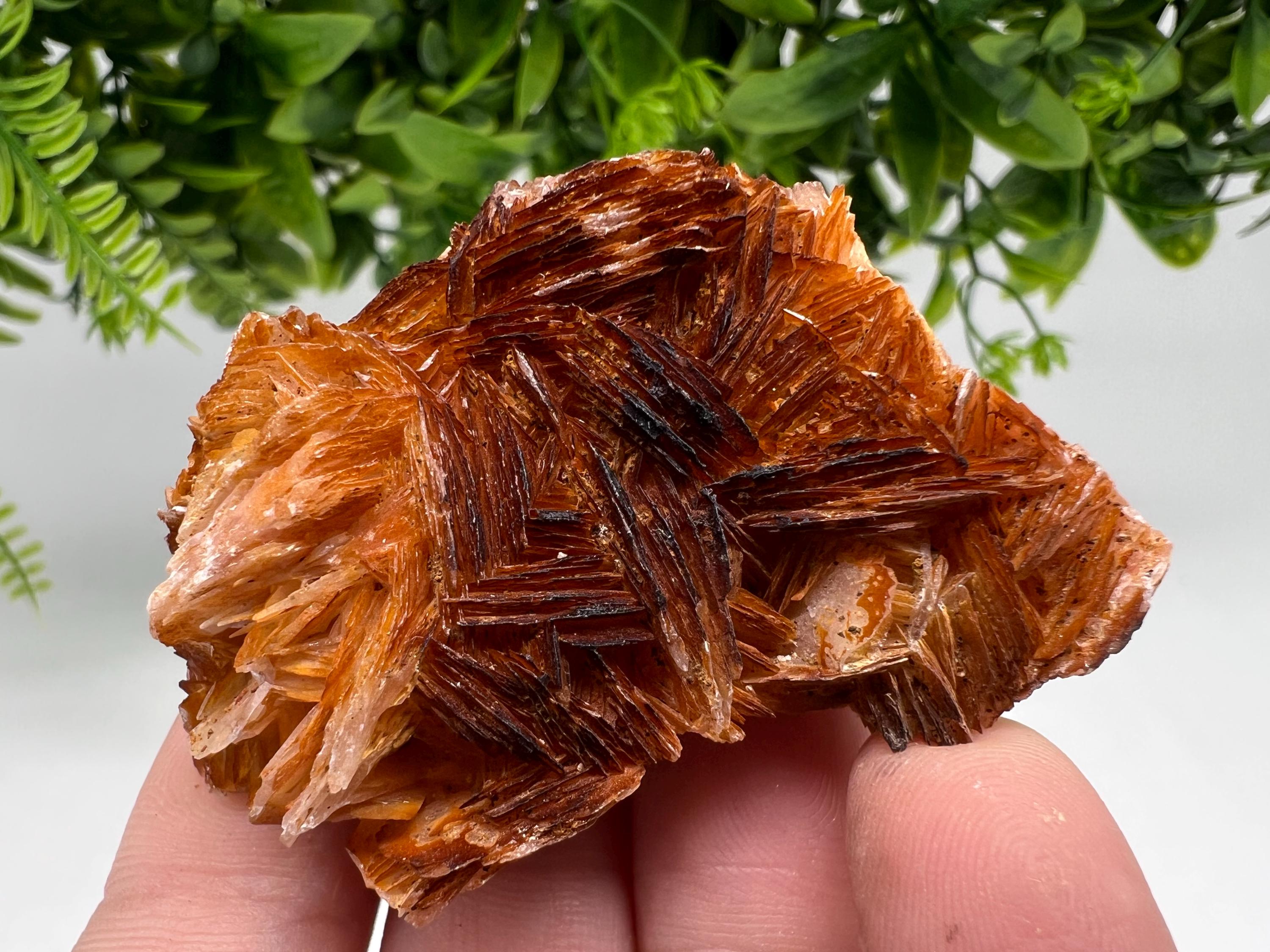 Wonderful Baryte with Cerussite on Galena from Morocco,Crystal, Mineral,Specimen,Cluster,Crystals,Barite Crystal,Cerussite Crystal,Specimen