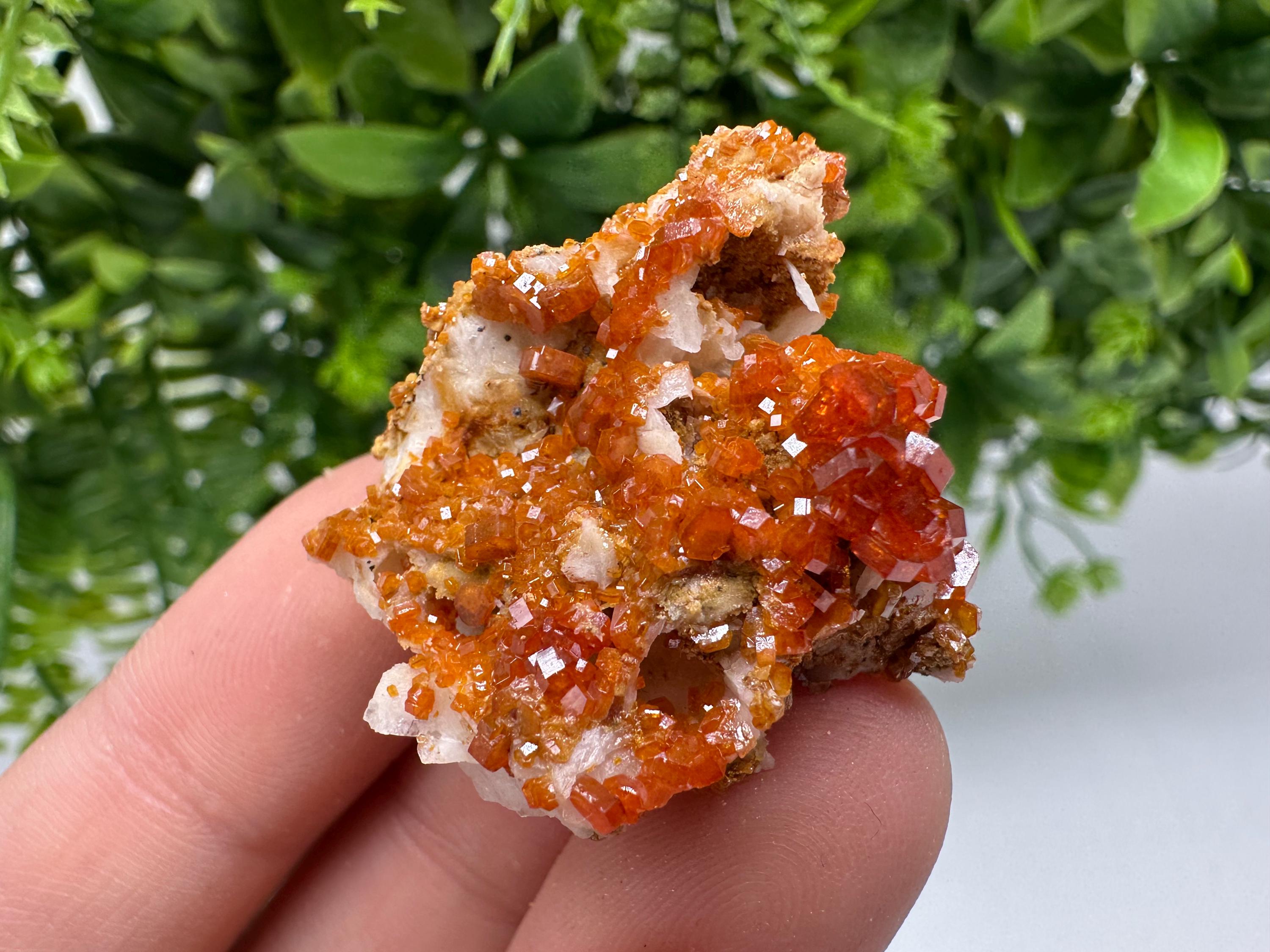 Red Vanadinite on Barite Specimen: Moroccan Crystal Cluster (3.5/3/2cm, 22 grams)