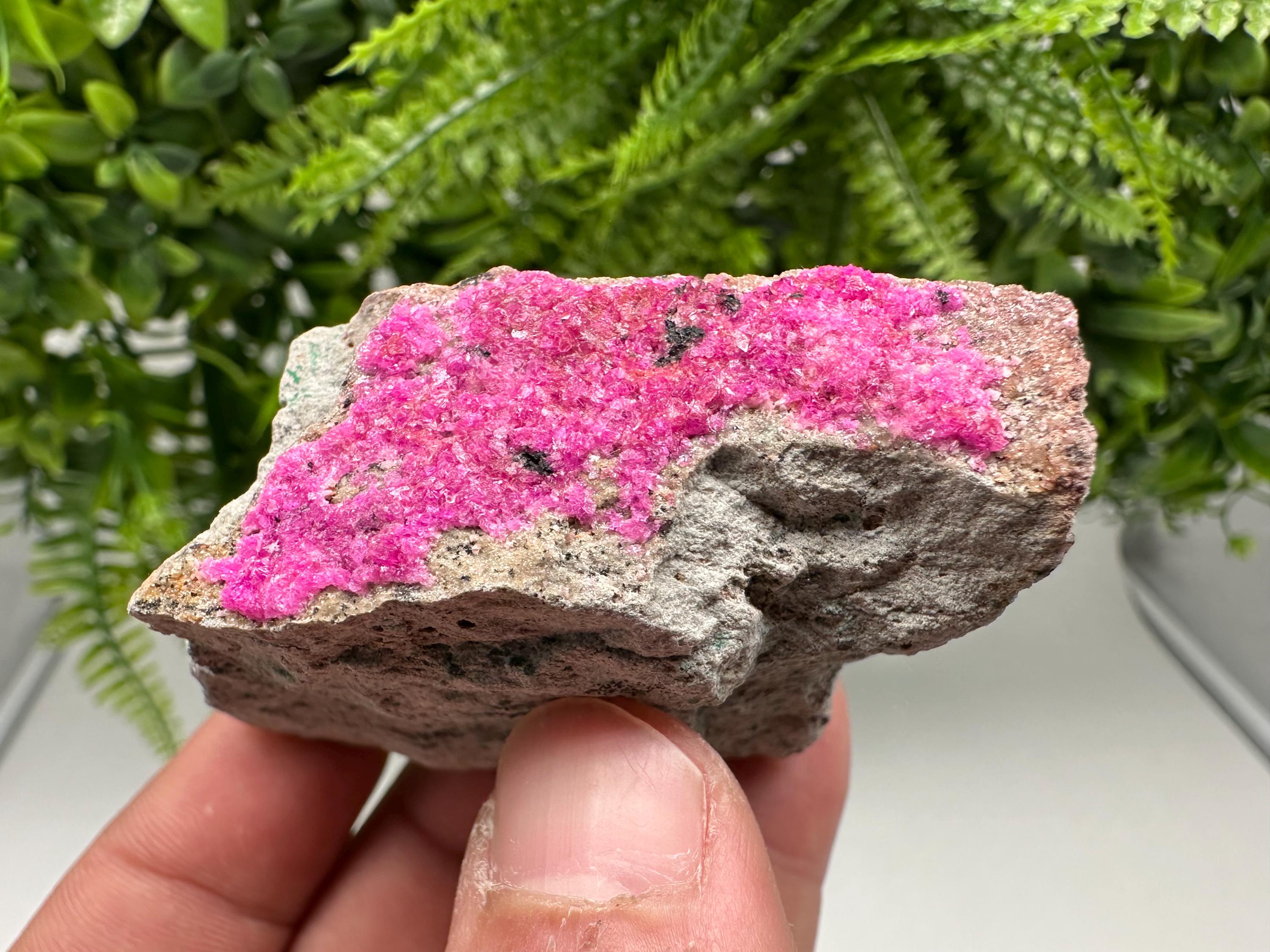 Cobalto Calcite Crystal, Republic of Congo Pink Mineral