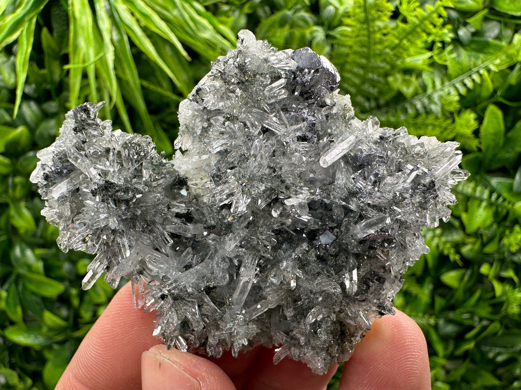 Galena Pyrite on Quartz, Borieva Mine, Bulgaria