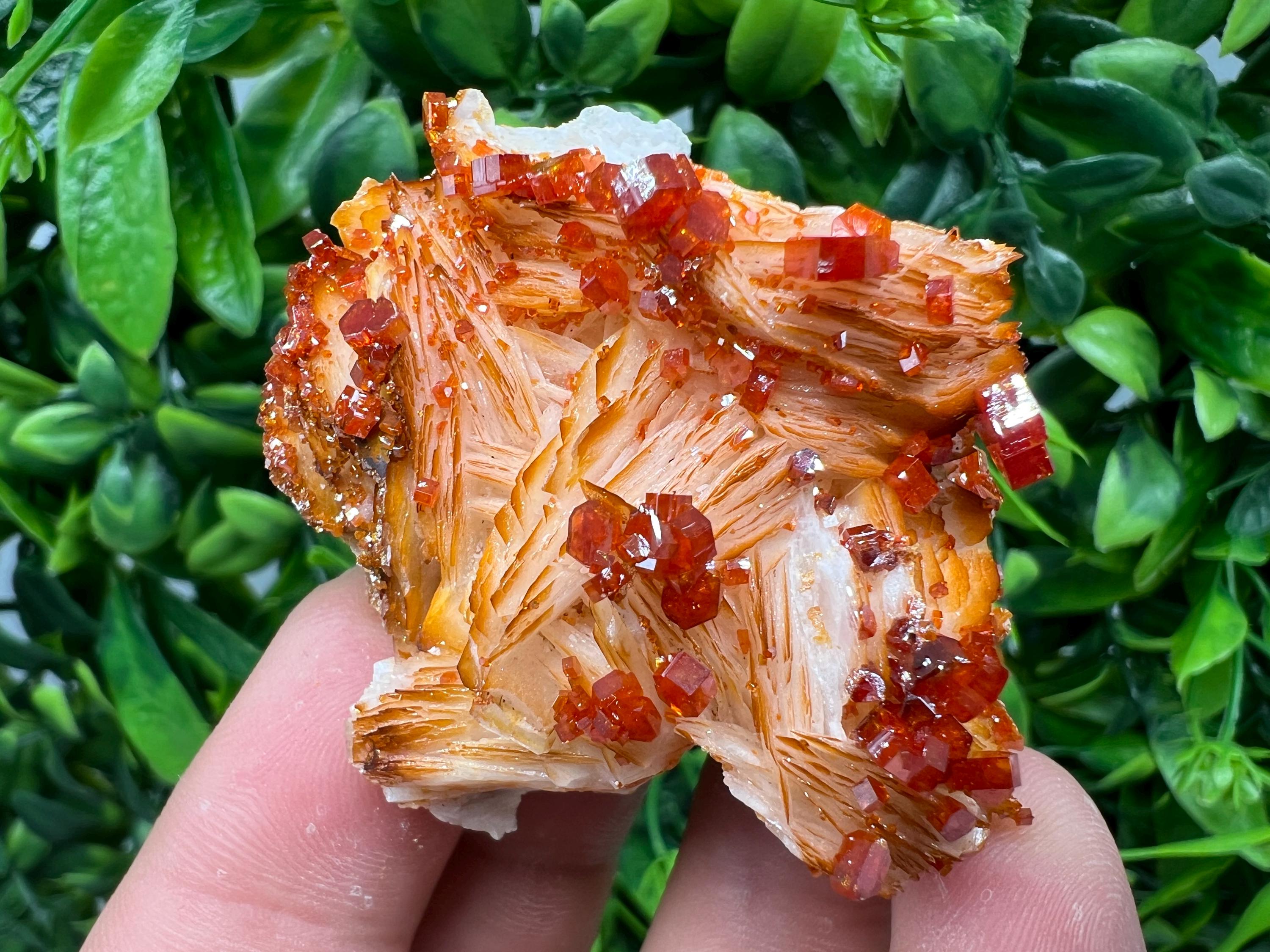 Red Vanadinite on Barite from Marocco,crystal minerals Speciment cluster Vanadinite crystal Vanadinite Geology Vanadinite cluster minerals