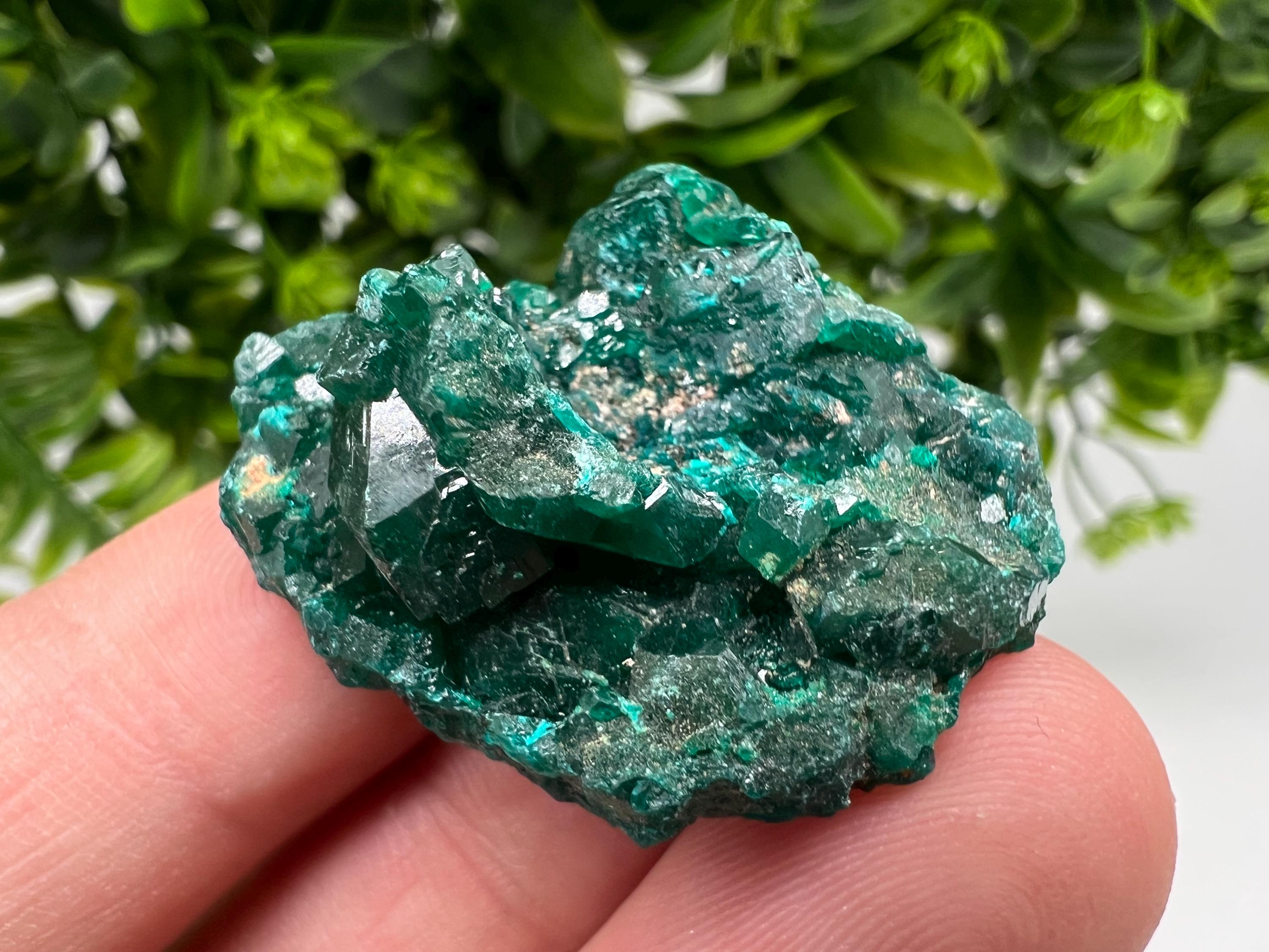 Stunning Green Dioptase from Sanda Hills,Mindouli,Pool Department,Mindouli District,Congo,green Dioptase,Dioptas Crystal,Dioptase collecting