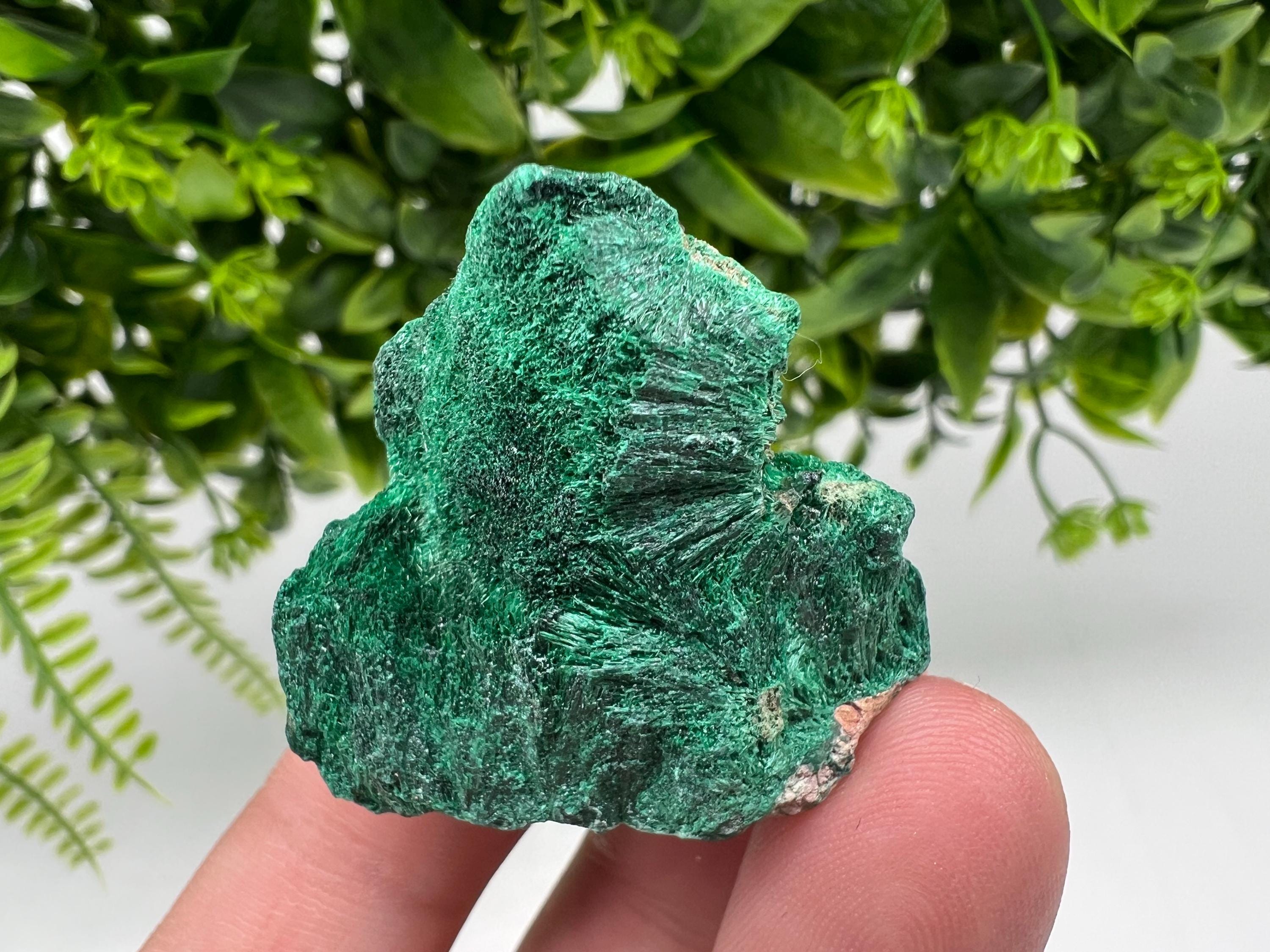 Malachite Crystal from Congo,Minerals,Crystals from Congo,Green Malachite, Malachite,Natural Malachite,Malachite Stone,Chakra, Specimens