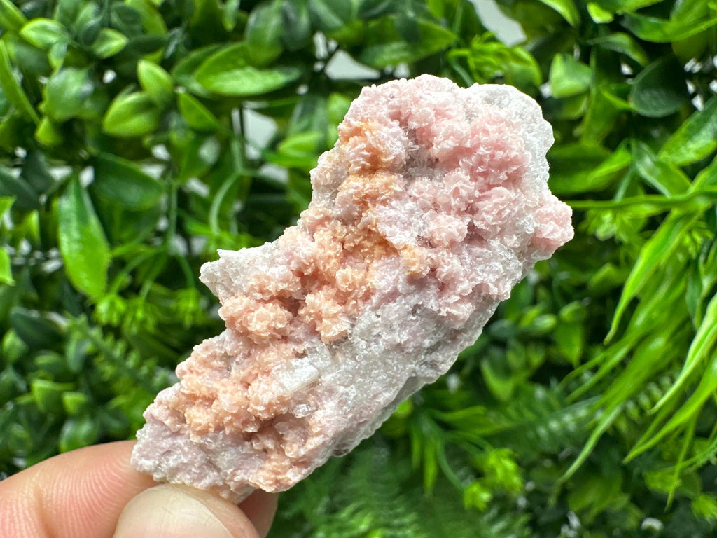 Rhodochrosite on Quartz Specimen, Starnica Mine, Bulgaria