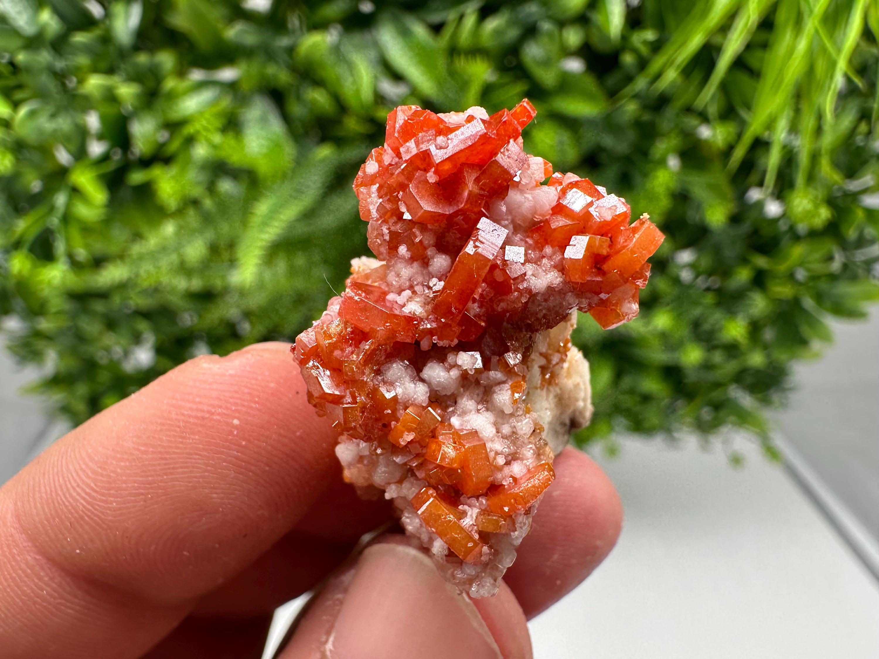 Red Vanadinite on Barite from Marocco,crystal minerals Speciment cluster Vanadinite crystal Vanadinite Geology Vanadinite cluster minerals