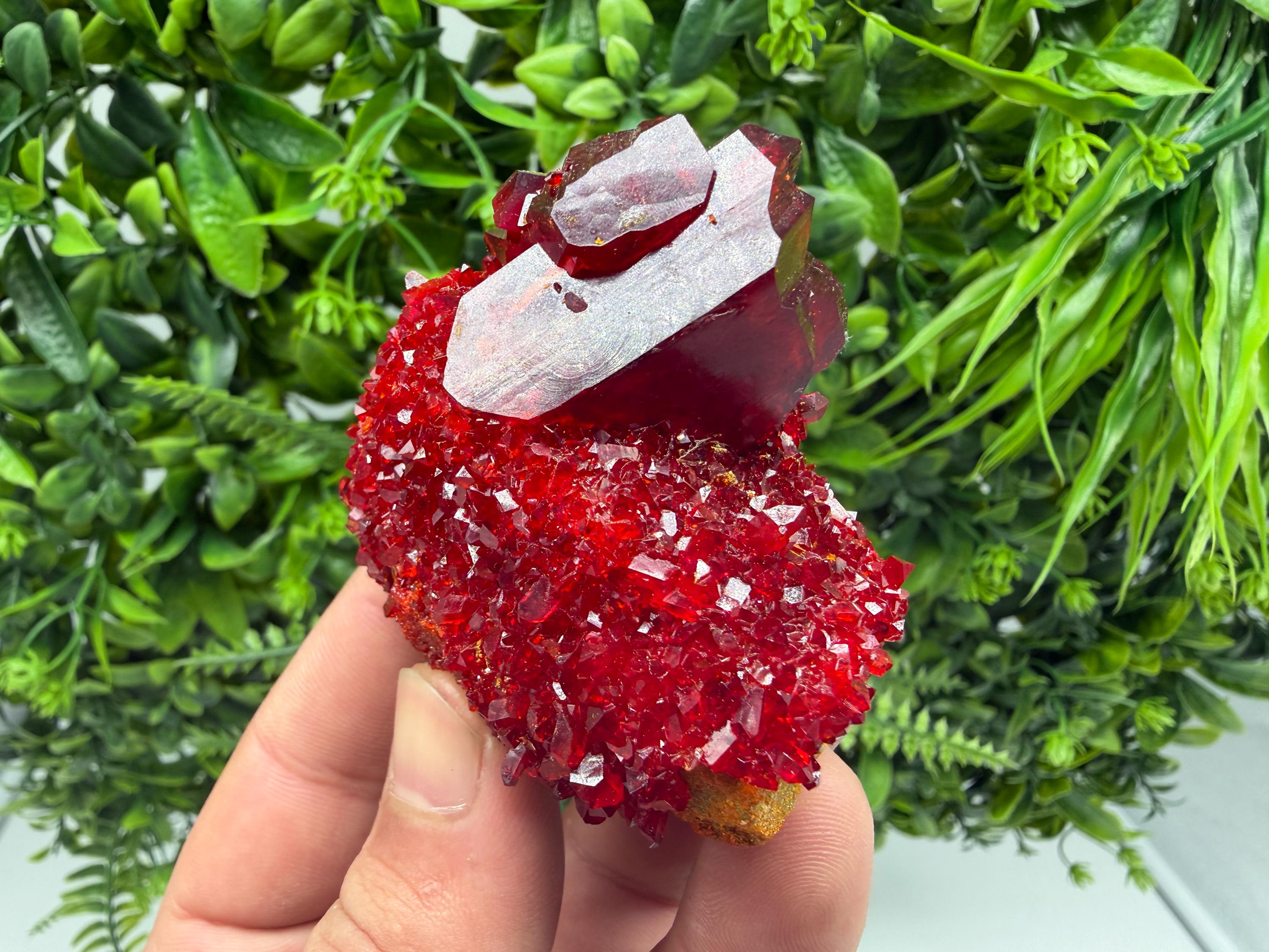 XXL Laboratory Pruskite Ruby Crystal on Matrix