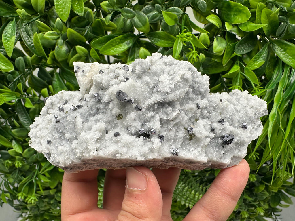 Collection Mirror Galena,GEMY Cleiopfane on Chalcedony,From Krushev dol mine,Madan,Bulgaria,Natural,collection mineral specimen,rare crystal