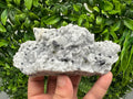 Collection Mirror Galena,GEMY Cleiopfane on Chalcedony,From Krushev dol mine,Madan,Bulgaria,Natural,collection mineral specimen,rare crystal