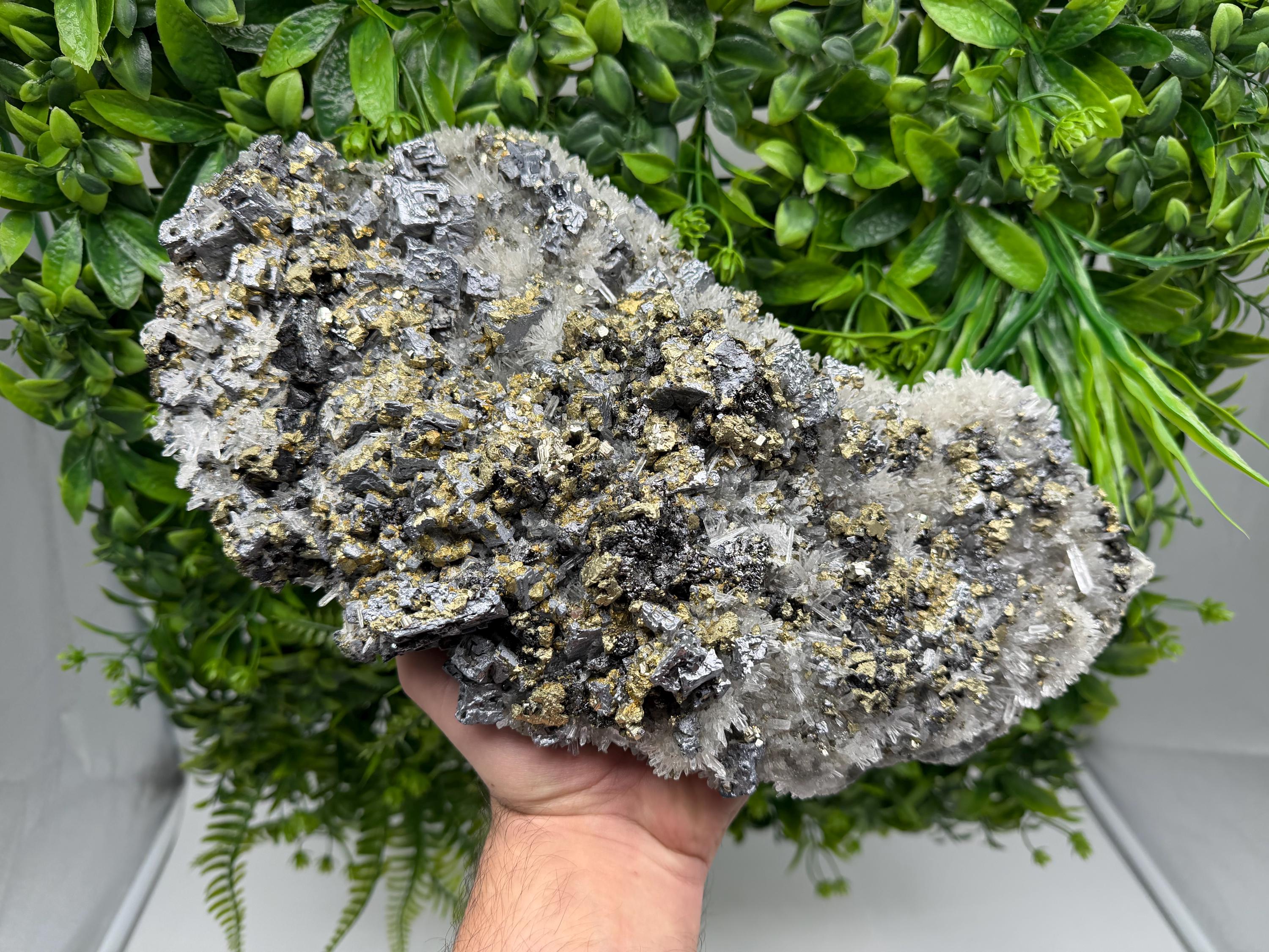 Museum Rare Shiny Galena Cluster whit Chalcopyrite,Pyrite, 9th of September Mine