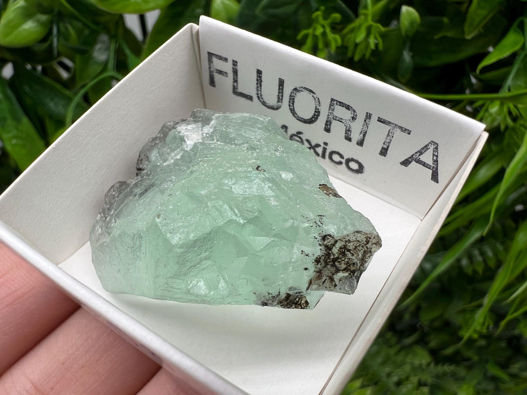 Rare Rainbow Fluorite from Mexico: Raw Meditation Stone, Vintage Gift