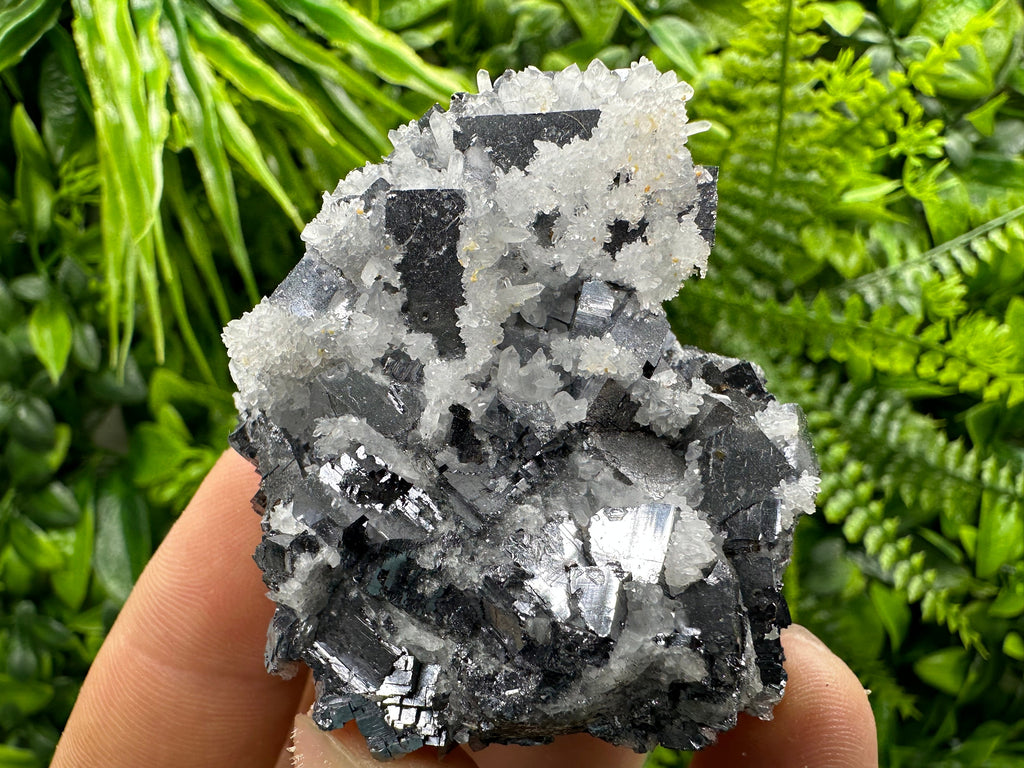 Galena with Quartz Crystal: Natural Mineral Specimen, Bulgaria