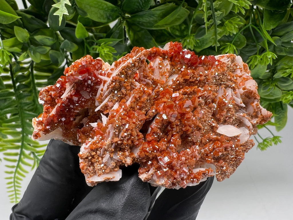 Red Vanadinite on Barite from Marocco,crystal minerals Speciment cluster Vanadinite crystal Vanadinite Geology Vanadinite cluster minerals