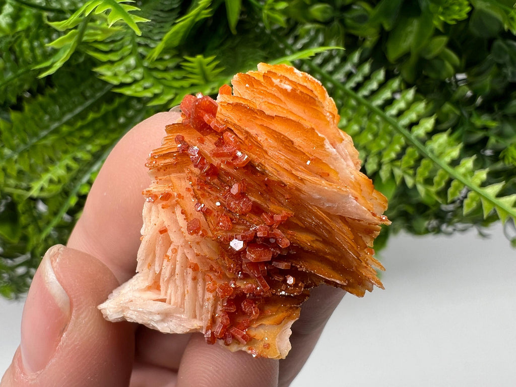 Red Vanadinite on Barite from Marocco,crystal minerals Speciment cluster Vanadinite crystal Vanadinite Geology Vanadinite cluster minerals