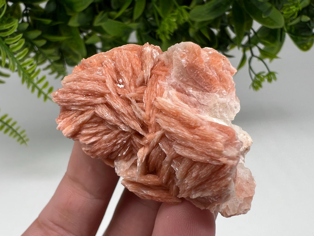 Wonderful Baryte with Cerussite on Galena from Morocco,Crystal, Mineral,Specimen,Cluster,Crystals,Barite Crystal,Cerussite Crystal,Specimen