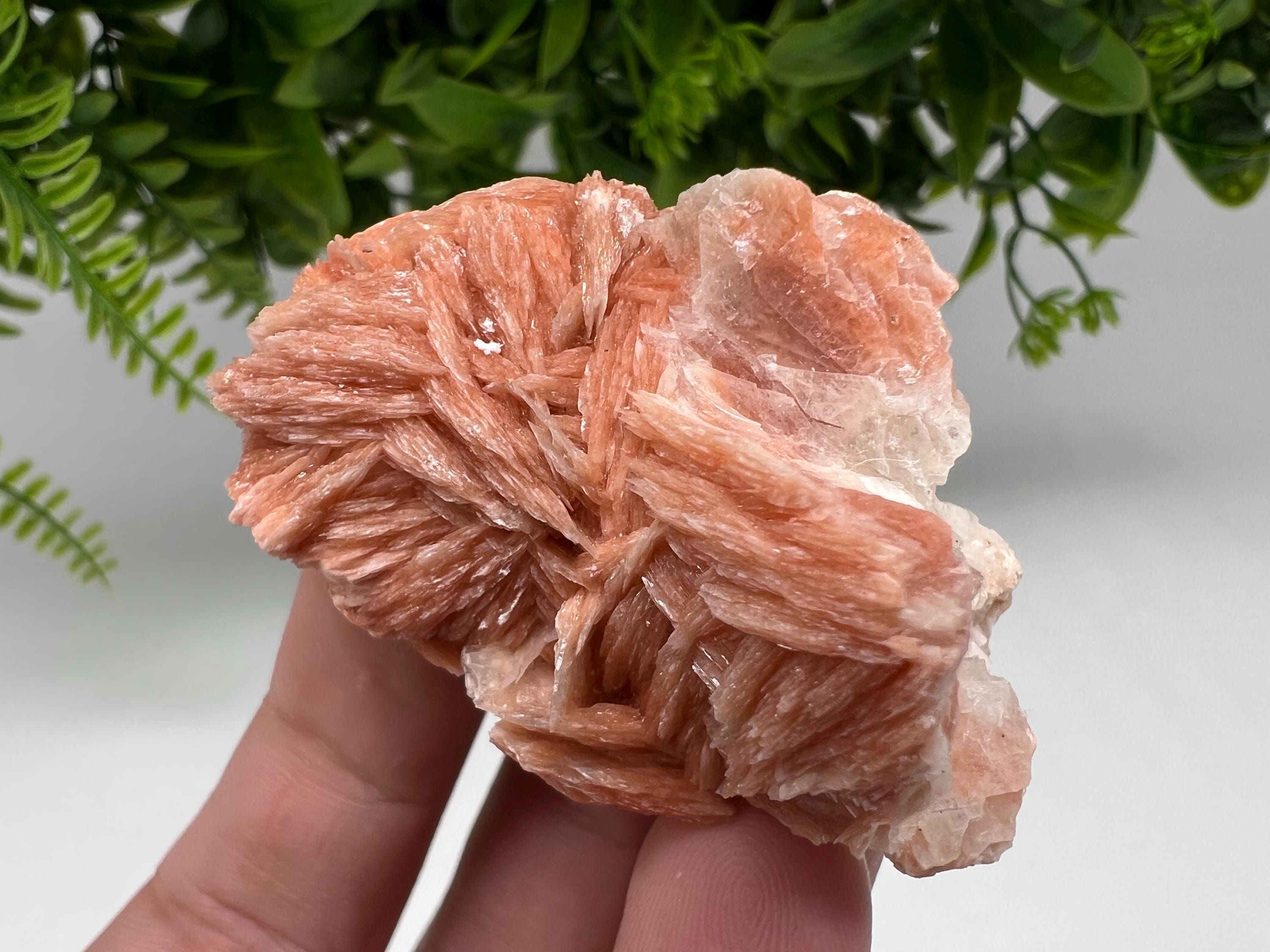 Wonderful Baryte with Cerussite on Galena from Morocco,Crystal, Mineral,Specimen,Cluster,Crystals,Barite Crystal,Cerussite Crystal,Specimen