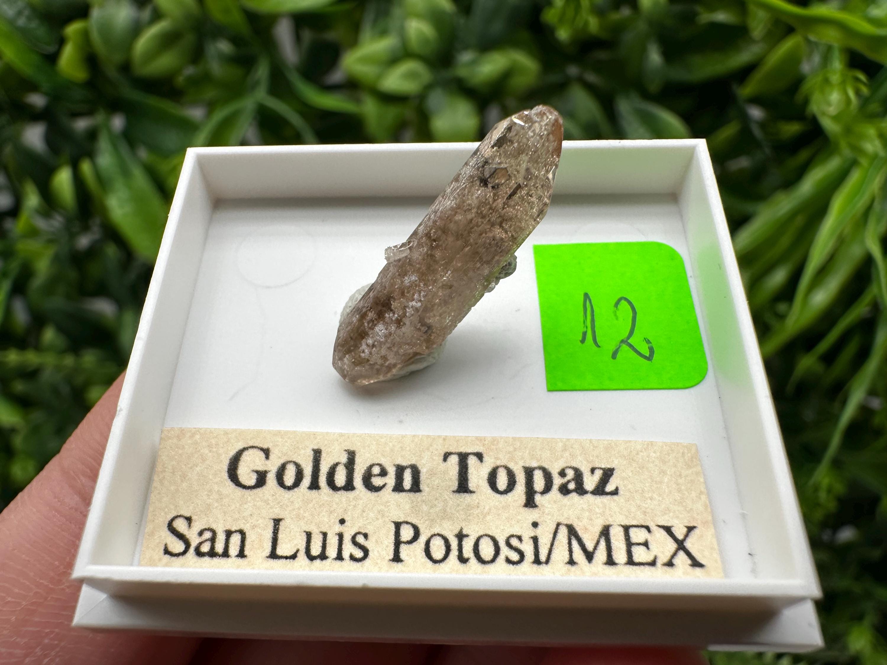 Golden Topaz Crystal, Mineral Specimen from Mexico