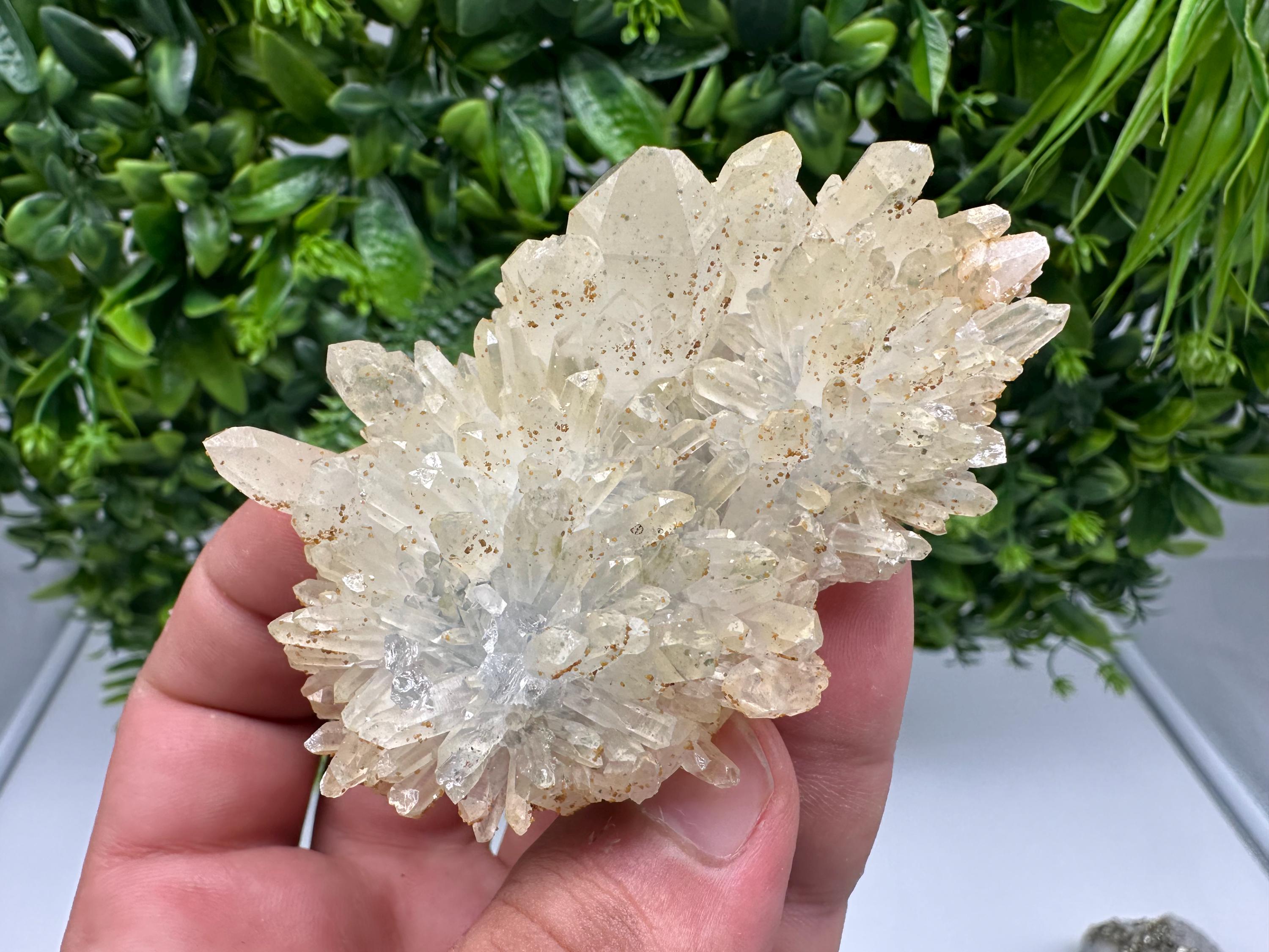 Quartz whit Brown Rhodochrosite from Djurcovo mine,Bulgaria,Quartz,Rhodochrosite cluster,natural mineral,collection crystal,mineral specimen
