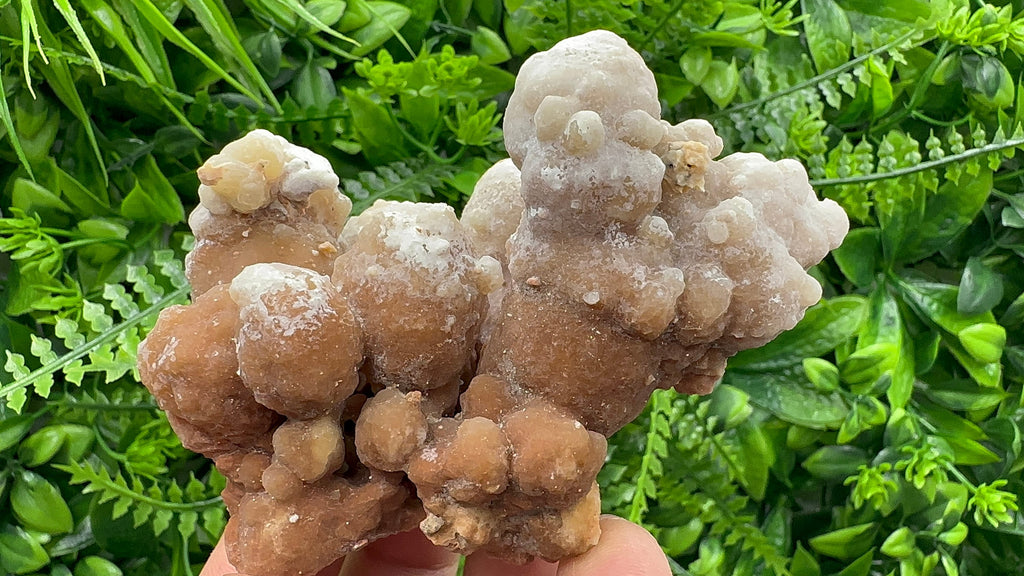 Dimitrovgrad Aragonite Cluster, Bulgaria, Natural Mineral Specimen