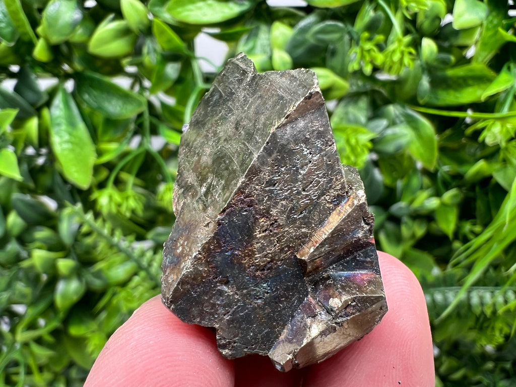 Rare Rainbow Pyrite Cluster: Borieva Mine, Bulgaria
