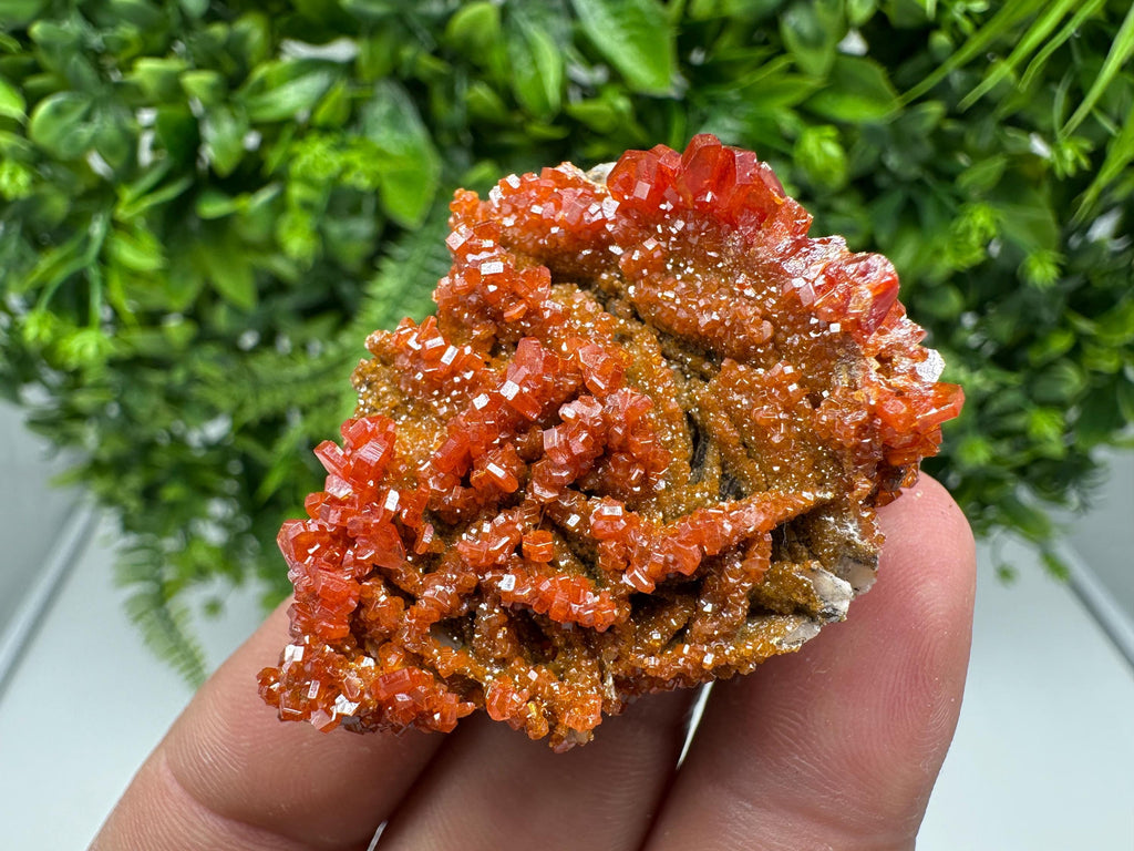 Red Vanadinite on Barite from Marocco,crystal minerals Speciment cluster Vanadinite crystal Vanadinite Geology Vanadinite cluster minerals