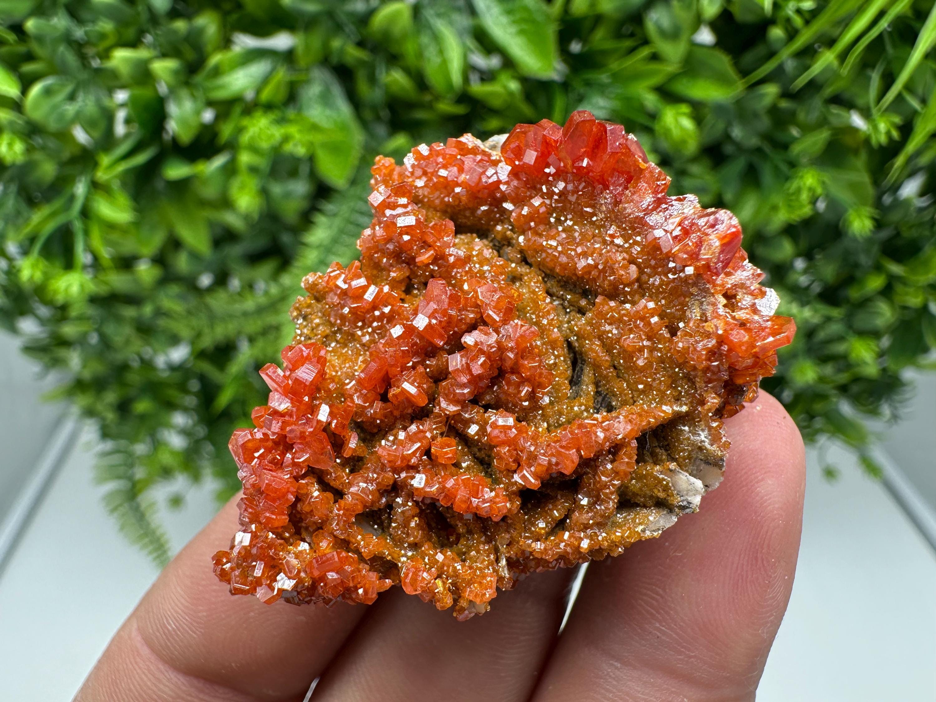 Red Vanadinite on Barite from Marocco,crystal minerals Speciment cluster Vanadinite crystal Vanadinite Geology Vanadinite cluster minerals