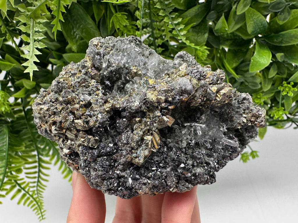 Pyrite on Green Quartz: Rare Mineral Specimen, Borieva Mine
