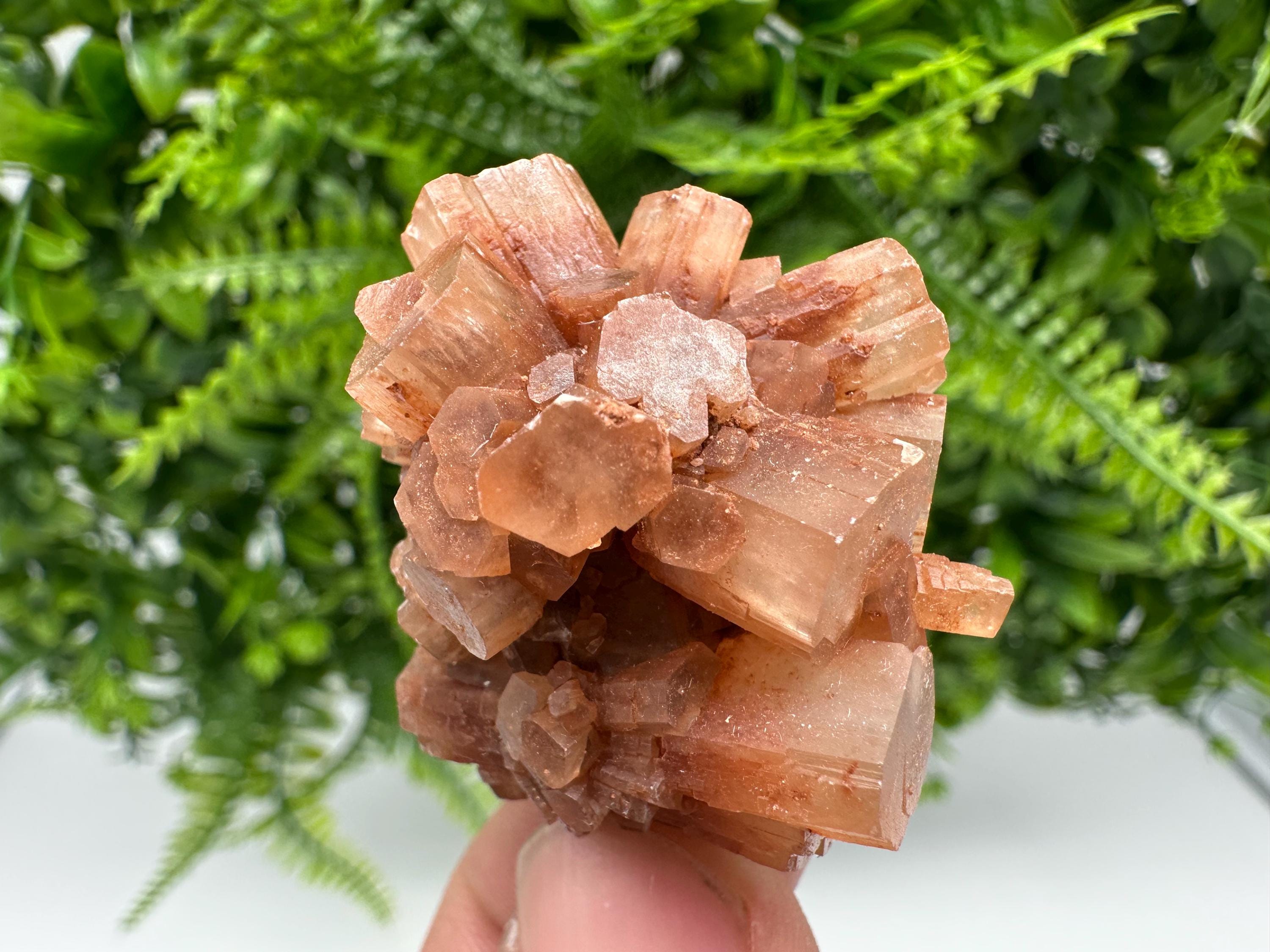 Moroccan Aragonite Sputnik Cluster: Raw Crystal Stone Decor