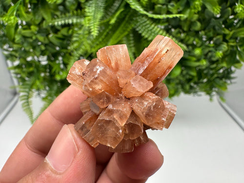 Aragonite Sputnik Cluster: Raw Moroccan Crystal Stone, Home Decor