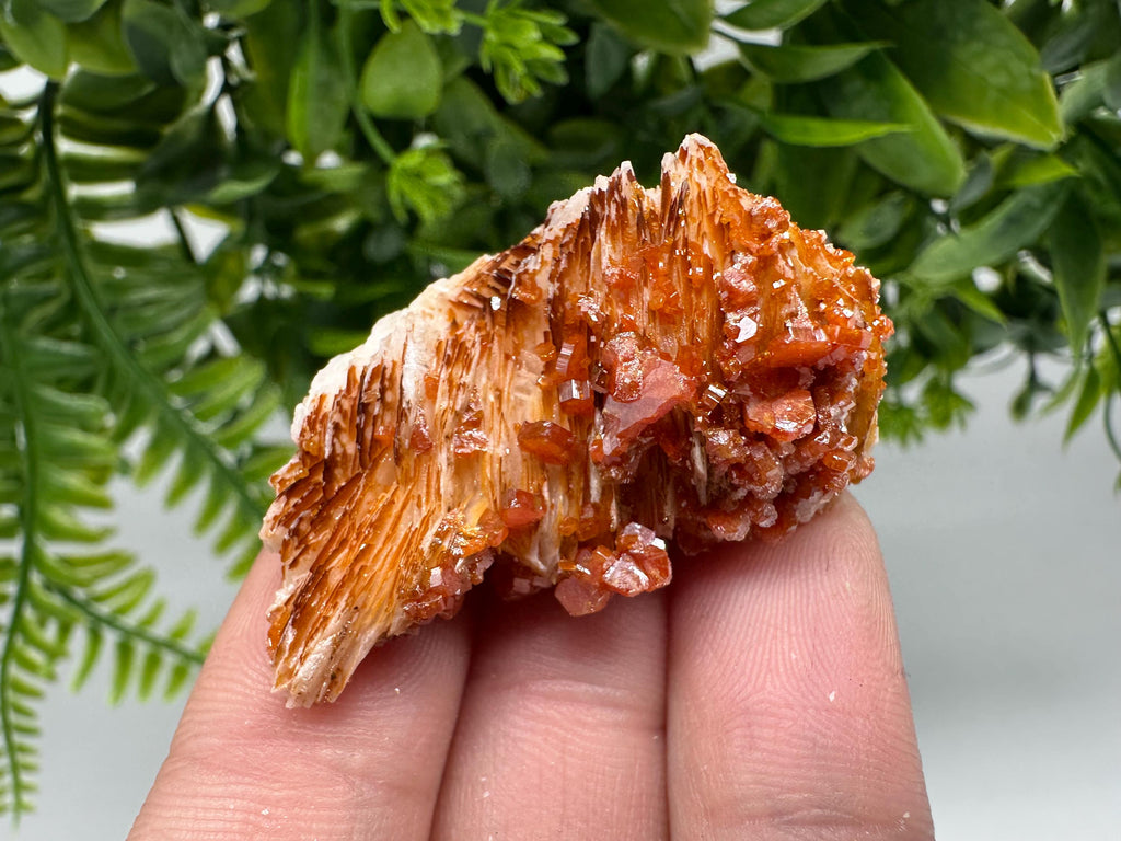 Red Vanadinite Crystal Cluster on Barite, Morocco Mineral Specimen