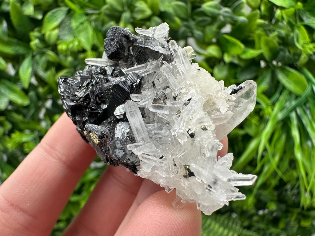 Wonderful Sphalerite Chalcopyrite on  Quartz whit Galena feom 9 th September mine,Bulgaria,natural,collection mineral specimen,gift