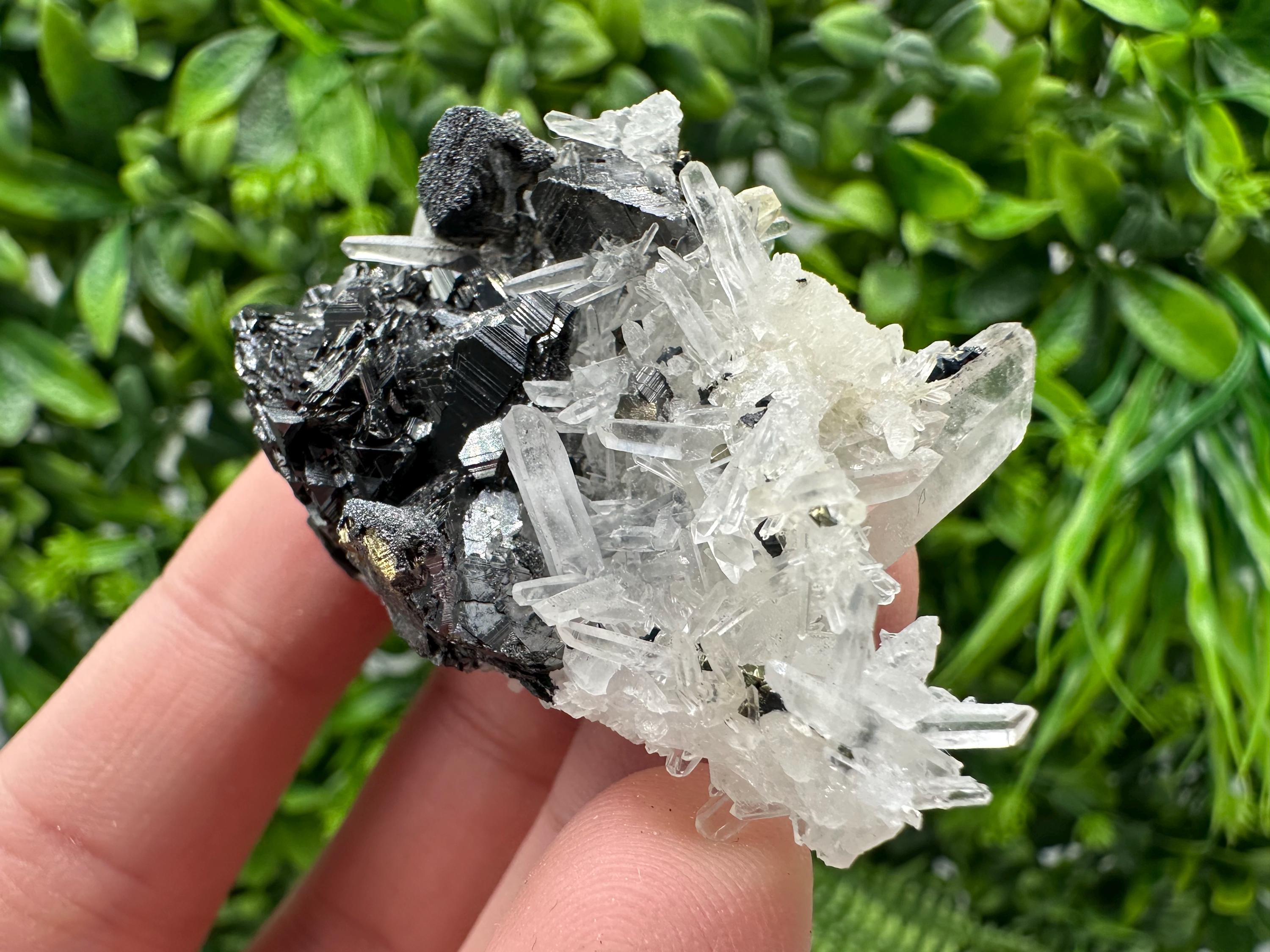 Wonderful Sphalerite Chalcopyrite on  Quartz whit Galena feom 9 th September mine,Bulgaria,natural,collection mineral specimen,gift