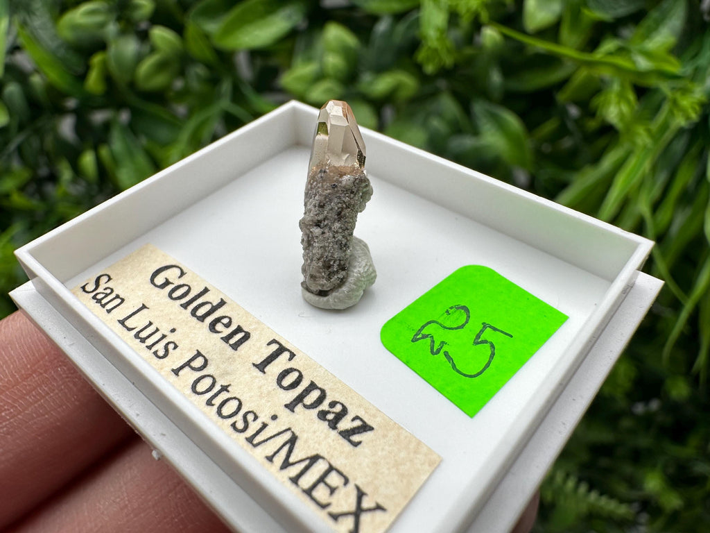Golden Topaz Crystal, Mineral Specimen from Mexico