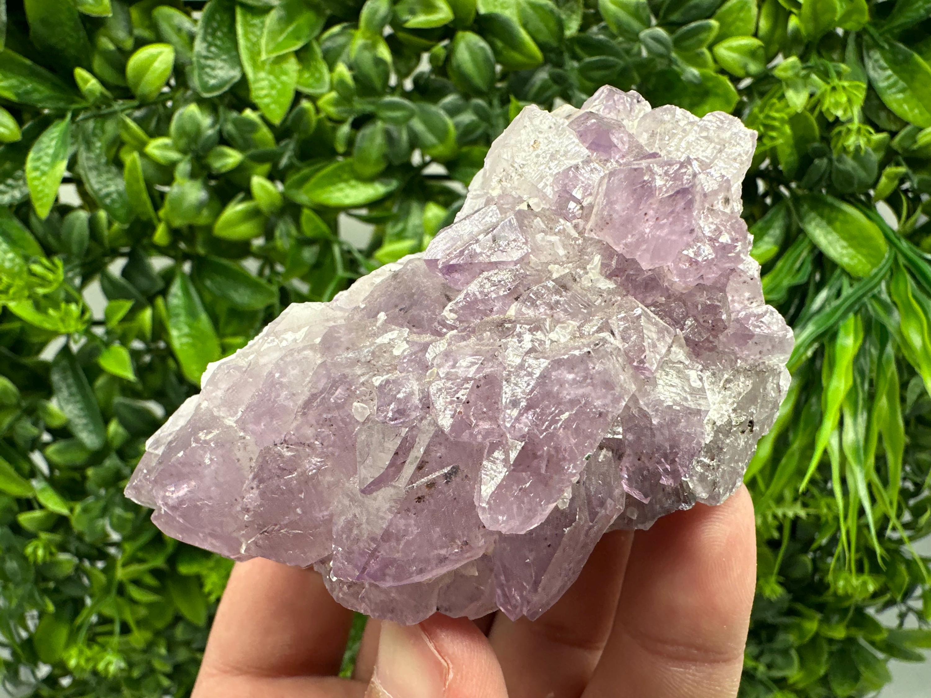 Brazilian Amethyst Cluster, Purple Quartz Crystal Specimen