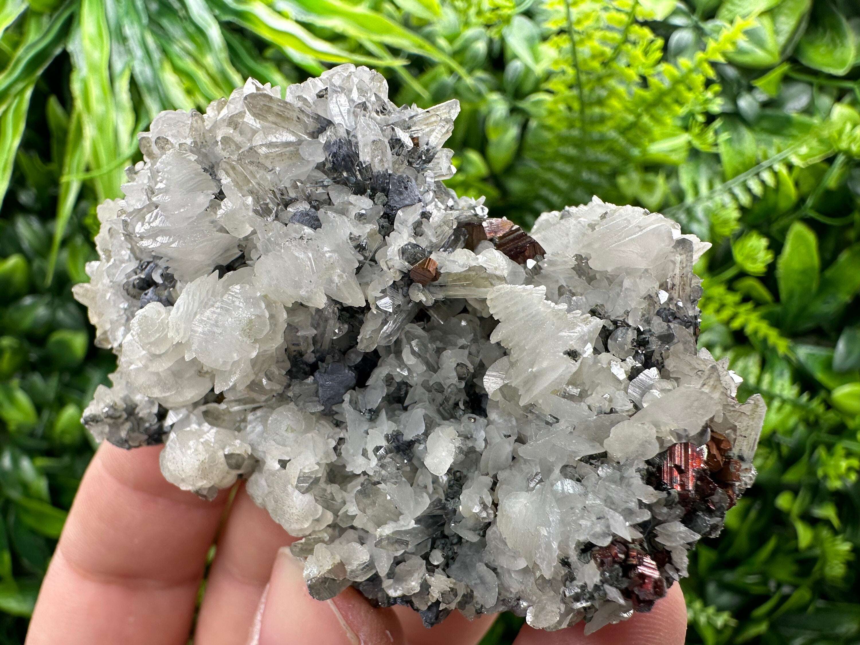 Pyrite Calcite on Quartz Crystal: Borieva Mine, Bulgaria