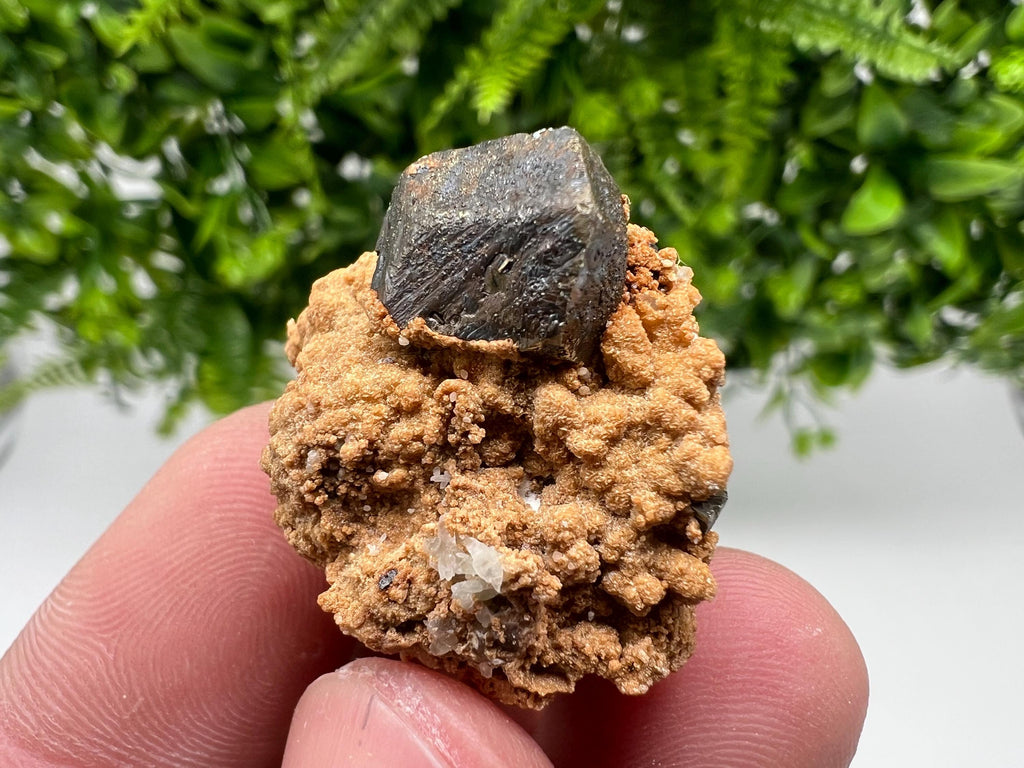 Chalcopyrite with Hematite on Siderite Specimen, Bulgaria Mineral Collection