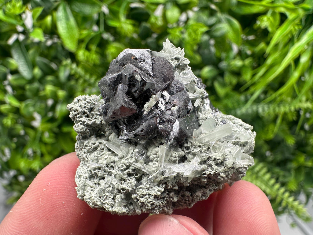 Sphalerite with Chlorite Mineral Specimen - Borieva Mine, Bulgaria