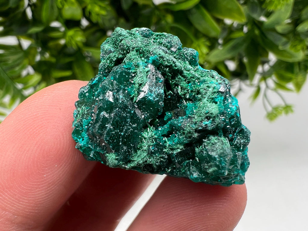 Stunning Green Dioptase from Sanda Hills,Mindouli,Pool Department,Mindouli District,Congo,green Dioptase,Dioptas Crystal,Dioptase collecting