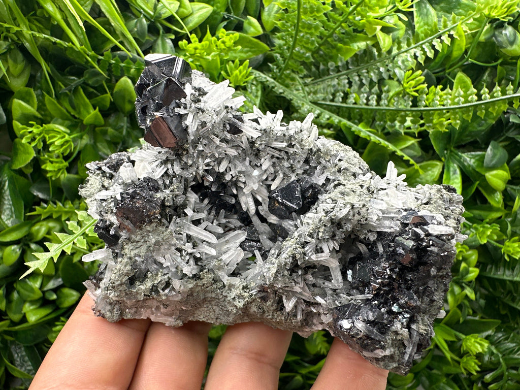 Sphalerite on Quartz Cluster: Borieva Mine, Bulgaria