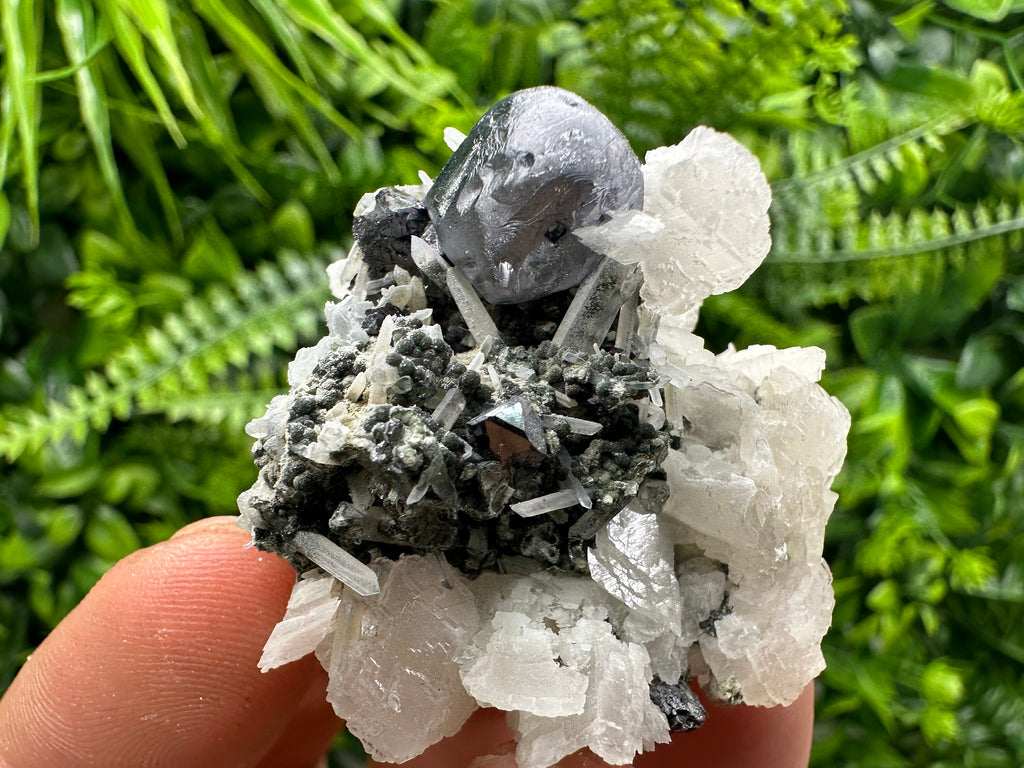 Mirror Galena, Calcite, Sphalerite on Quartz with Chlorite, Bulgaria