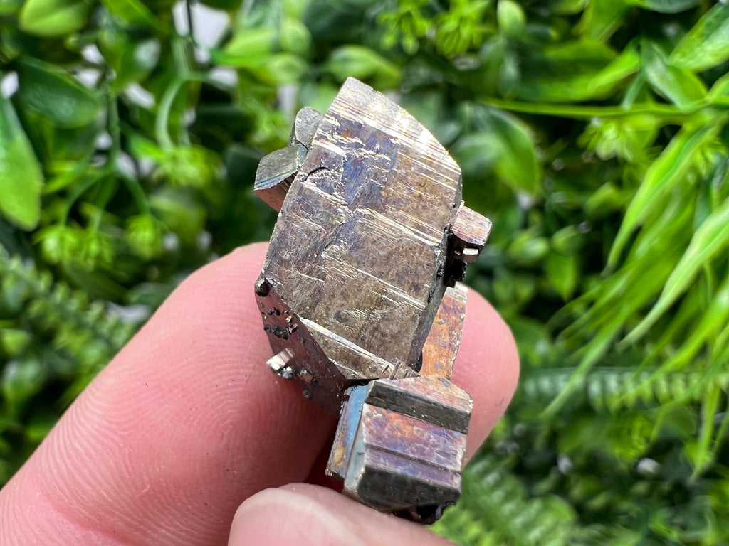 Rare Crystallization Pyrite, Borieva Mine, Bulgaria, Rainbow Golden Pyrite