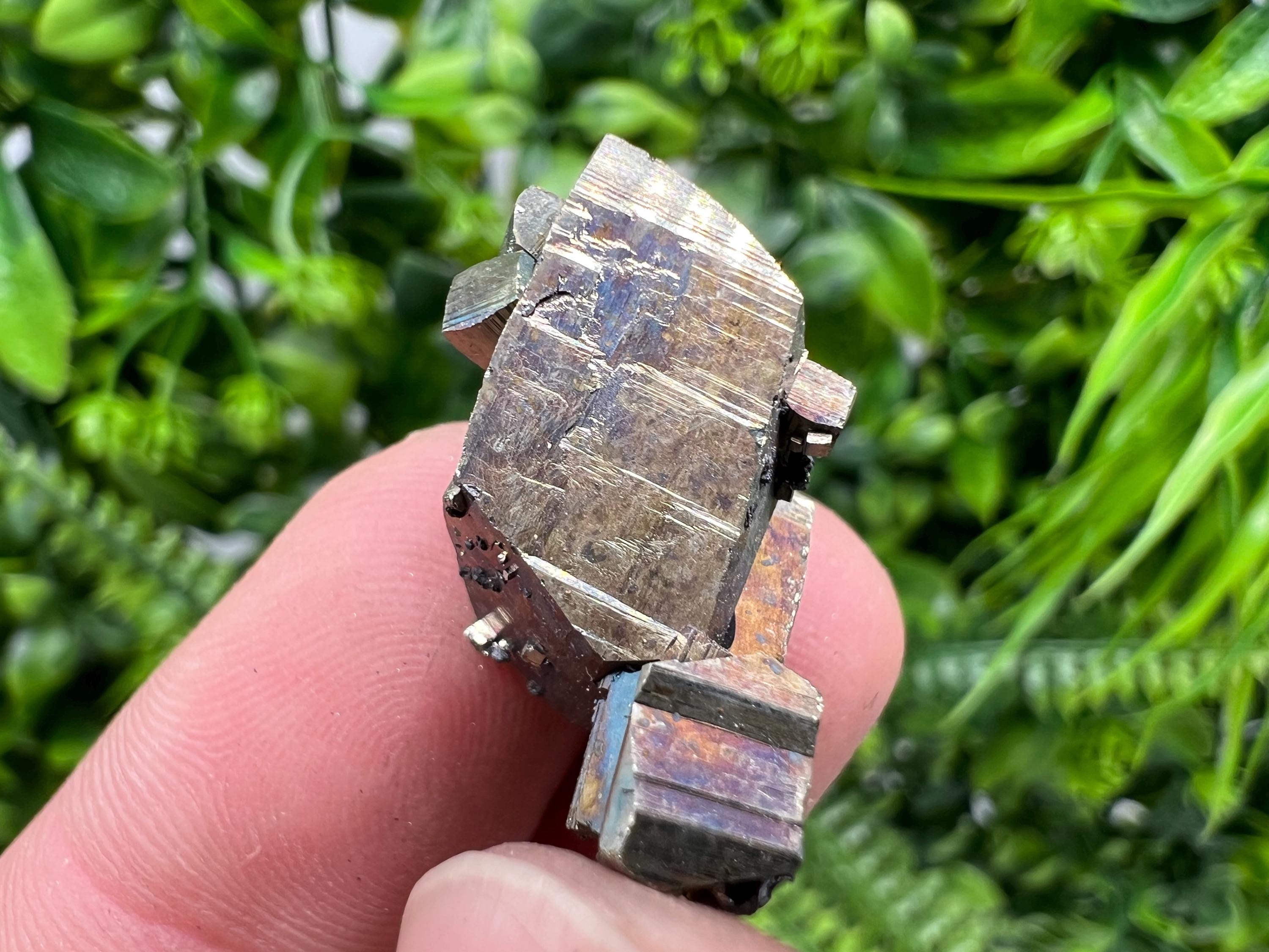 Rare Crystallization Pyrite, Borieva Mine, Bulgaria, Rainbow Golden Pyrite
