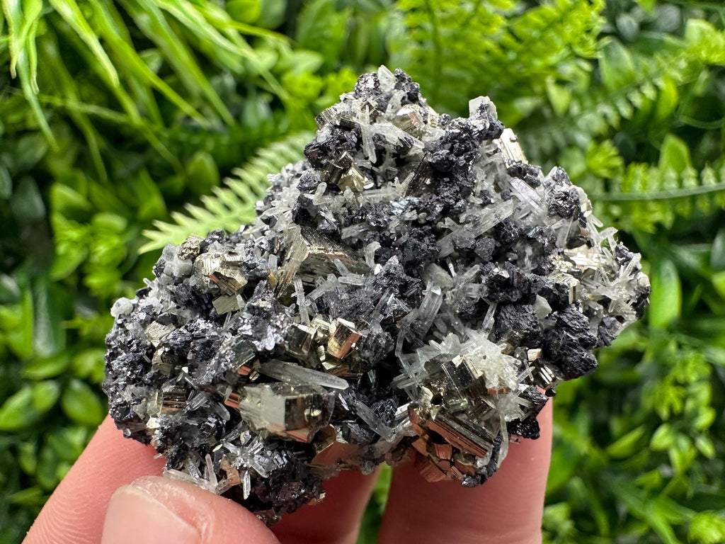 Pyrite on Sphalerite and Quartz, Borieva Mine Mineral Specimen