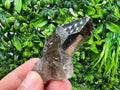 Rare Smoky Quartz Crystal Specimen: Brazilian Mineral Collection
