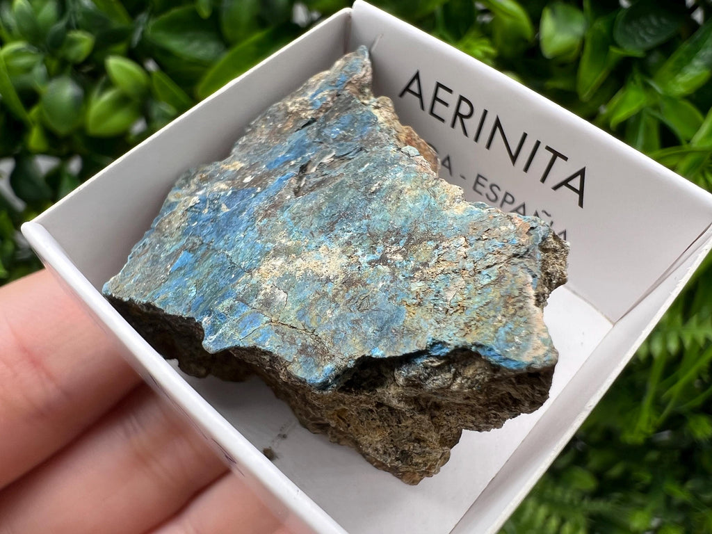 Rare Raw Aerinite Mineral Specimen: Lleida Spain Crystal Collection