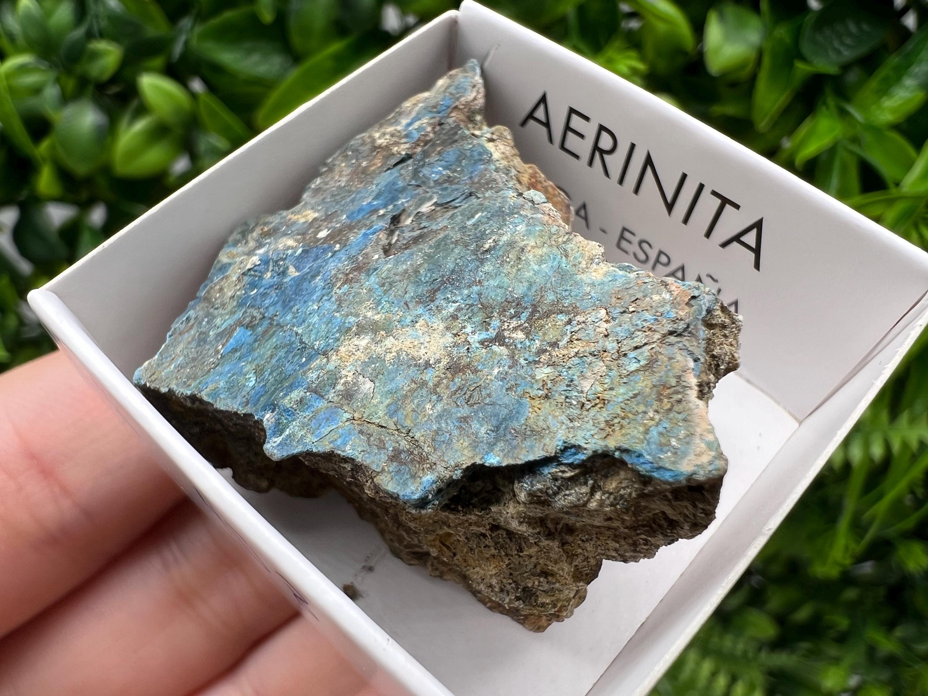 Rare Raw Aerinite Mineral Specimen: Lleida Spain Crystal Collection